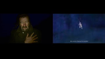 "But a Storm Is Blowing from Paradise" Exhibition Theme: Migration