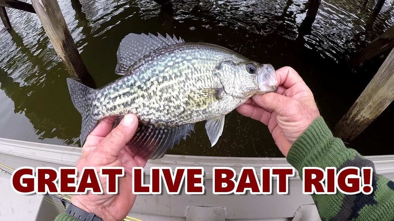 Crappie Fishing with Minnows - Killer Rigs