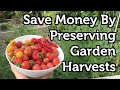 Preserve Garden Fruit and Vegetables 4 Easy Methods