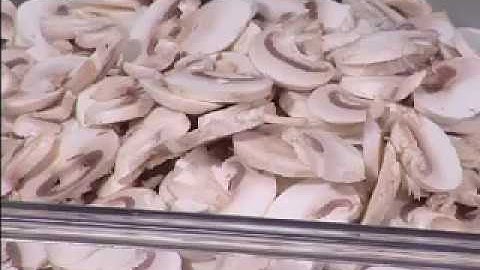 Hobart FP250 5/32" Slicer Plate Slicing Mushrooms