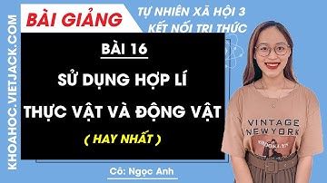 Tự nhiên xã hội lớp 3 - Kết nối | Bài 16: Sử dụng hợp lí thực vật và động vật - trang 68