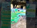 tree trimming using harbor freight tool tree pruner extension