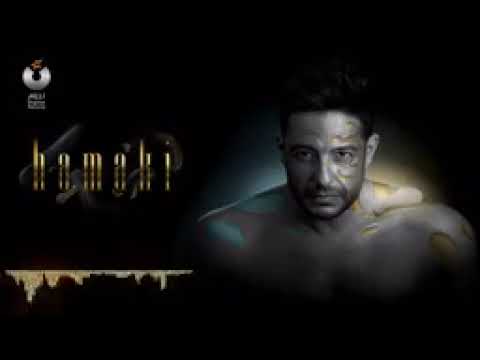 قالو عنك حماقي