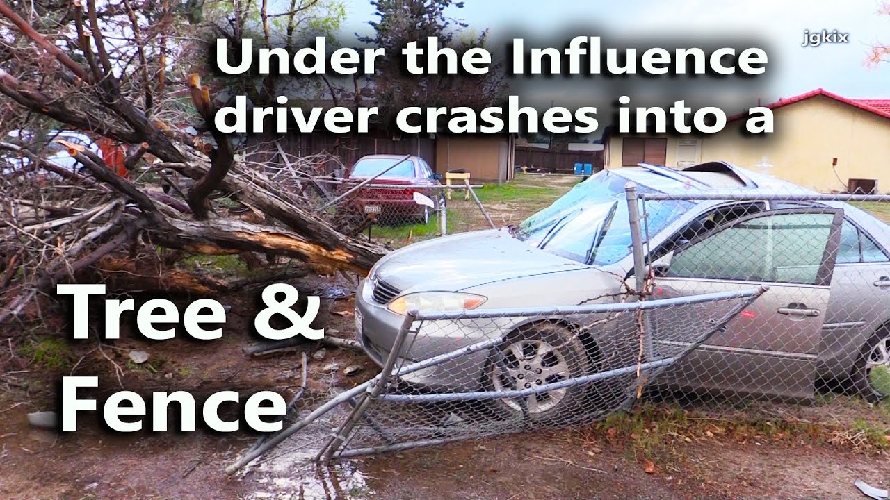 Under the influence driver crashes into tree and fence - YouTube