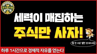 4월 24일 세력주 분석(삼기이브이,세코닉스,LS마린솔루션,렘테크놀러지,피씨디렉트,메가스터디교육,대성창투,동국씨엠,휴메딕스,대원강업,뉴파워프라즈마,모니터랩,제일약품,진에어,비엠티)