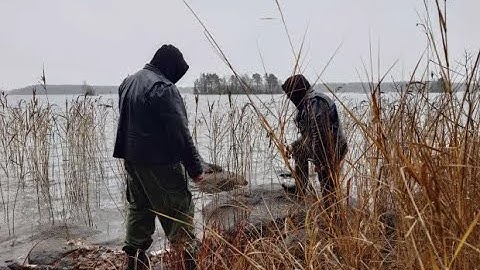 Suoruumis - Havanti (Official video)