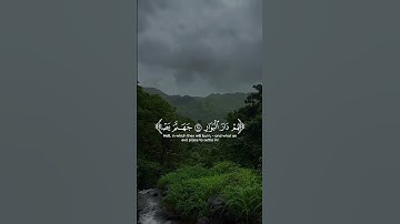 ألم ترى إلى الذين بدلوا نعمت الله كفرا | قالب كاب كات قرآن كريم القارئ سلمان المطيري