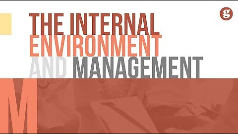 The Internal Enviornment and Management