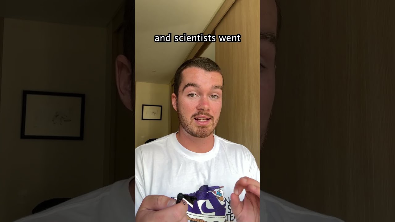 Do Dopplegangers Exist 