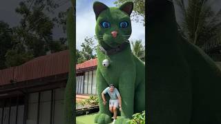 Hai ông cháu thử thách 1Q370 đánh đàn sẽ ra sao?#shorts #cute MR SHAKIR 146