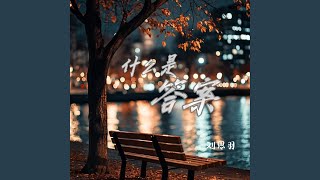 什么是答案