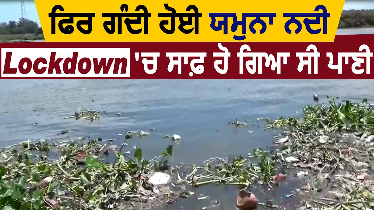 Delhi में फिर गंदी हुई Yamuna नदी, Lockdown में साफ हो गया था पानी