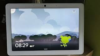 Google Weather Frog - Froggy And Sounds Of Nature