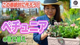 【初心者歓迎】極上のペチュニア寄せ植え！ポイントをわかりやすく解説！【園芸】【ガーデニング】#82