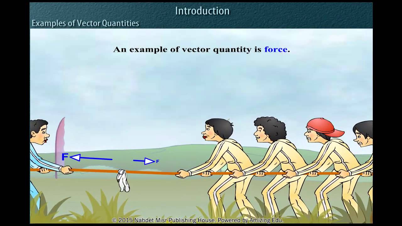 Examples of Vector Quantities - YouTube