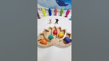 ✨Super Amazing✨ Reverse Video (Oddly Satisfying Color Sorting ASMR)