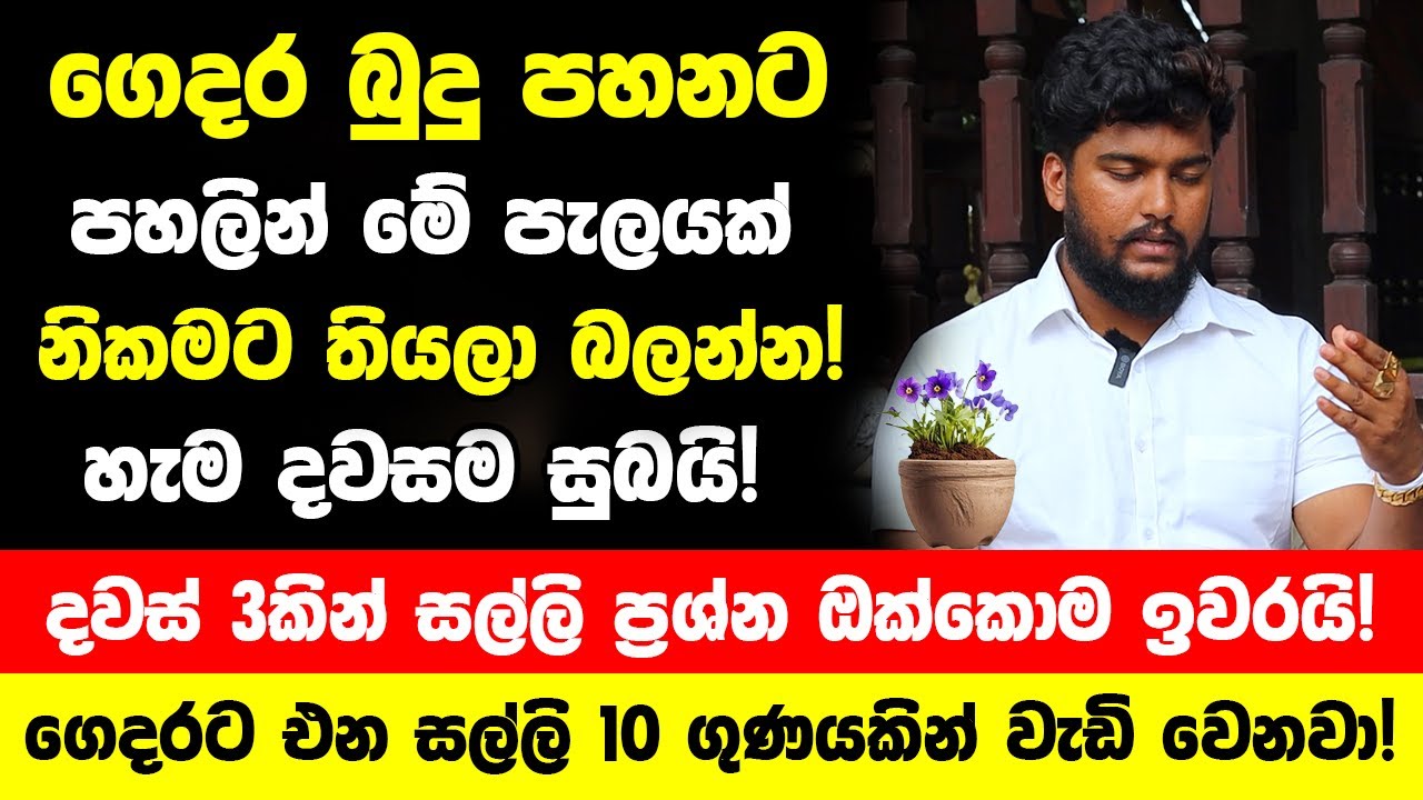 ගෙදර බුදු පහනට පහලින් මේ පැලයක් නිකමට තියලා බලන්න! -  දවස් 3කින් සල්ලි ප්‍රශ්න ඔක්කොම ඉවරයි! සුබයි