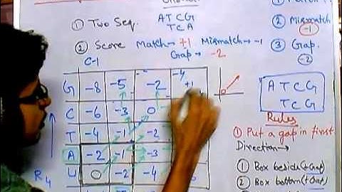 Bioinformatics part 7 How to perform Global alignment 1