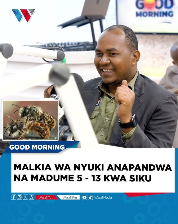 MALKIA WA NYUKI ANAPANDWA NA MADUME 5 MPAKA 13 KWA SIKU