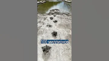 Когда река испарилась, на дне остались следы динозавров