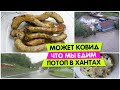 Может это КОВИД? / Что мы ЕДИМ / Потоп в Ханты-Мансийске / Vika Siberia LifeVlog