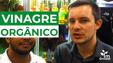 Como fazer vinagre de Cana-de-açúcar?