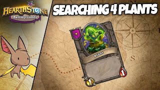 The Constant Search for Plant Friends | Firebat Hearthstone Battlegrounds