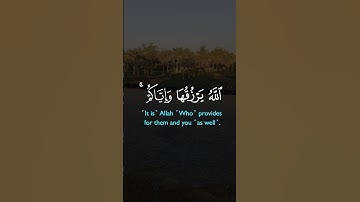 #القرآن_الكريم #سورة_النحل #اللهم_صل_وسلم_على_نبينا_محمد #تلاوة_خاشعة#اللهم_اجعل_القرآن_ربيع_قلوبنا