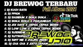 FULL ALBUM DJ BREWOG AUDIO TERBARU || DJ INDIA