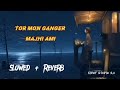 Tor Mon Ganger Majhi Ami -- তোর মন গাঙ্গের মাঝি আমি | Slowed+reverb | Slowed Song Mp3 Song