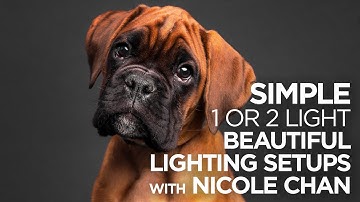 Fantastic Tips for Easy Lighting with the MagBox Pro 42" and 36" Softboxes by Nicole Chan