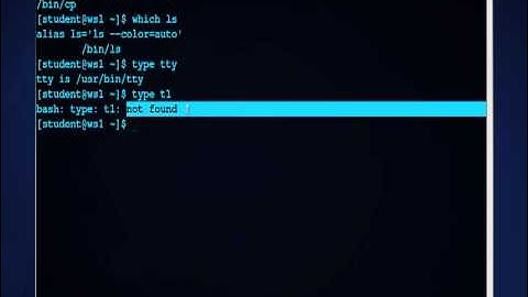 Part III: How to Find Files in the Linux File System using which, whereis and type
