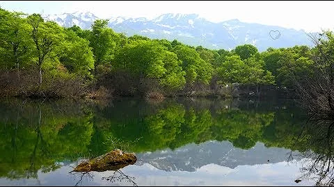 Reflection - Lupita Valencia Ovalle