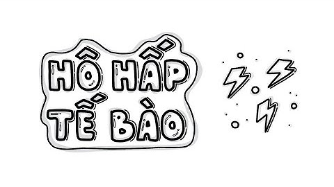 HÔ HẤP TẾ BÀO - Quá trình sản xuất năng lượng cho cơ thể | Khám Phá Sinh Học