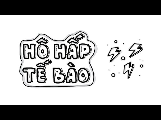 Outline Video HÔ HẤP TẾ BÀO - Quá trình sản xuất năng lượng cho cơ thể | Khám Phá Sinh Học