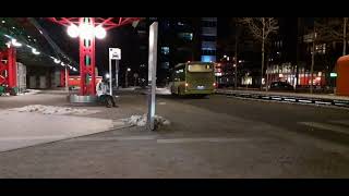 Diverse Bussen Op Busstation Lelystad