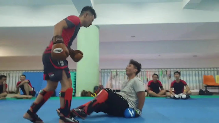 HỌA MI BỊ KNOCK - OUT (KỂ TỪ ĐÓ HỌA MI KHÔNG CÒN HÓT NỮA)