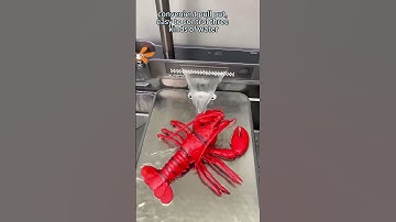 Vòi rửa bát dây rút thiết kế dàn mưa tiện nghi #shorts #kluger #vòi_rửa_bát #vòi_rửa_bát_dây_rút