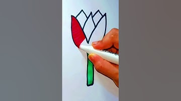 Easy Tulip Drawing For Beginners || Flower Drawing #shortsflower