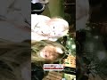 😁 @46И9К4ТЯН999