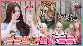 제작진 통수친(?) 밀당천재 수안😜😝 아이돌그라운드 퍼플키스(IDOL GROUND PURPLE KISS) Ep.3