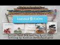 Dollar Bead Box and Bag April 2021 Opening