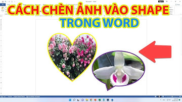 Cách Chèn Ảnh Vào Shape Trong Word