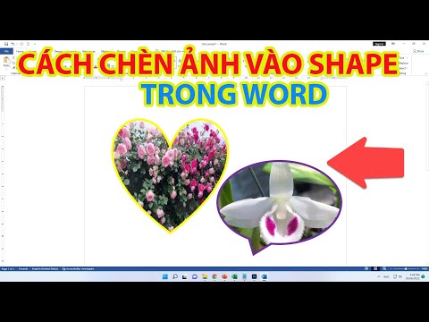 #1 Cách Chèn Ảnh Vào Shape Trong Word Mới Nhất