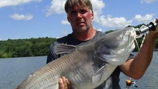 Catching a BOAT LOAD of Summer Catfish