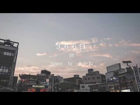 366日　HY  cover by あかね