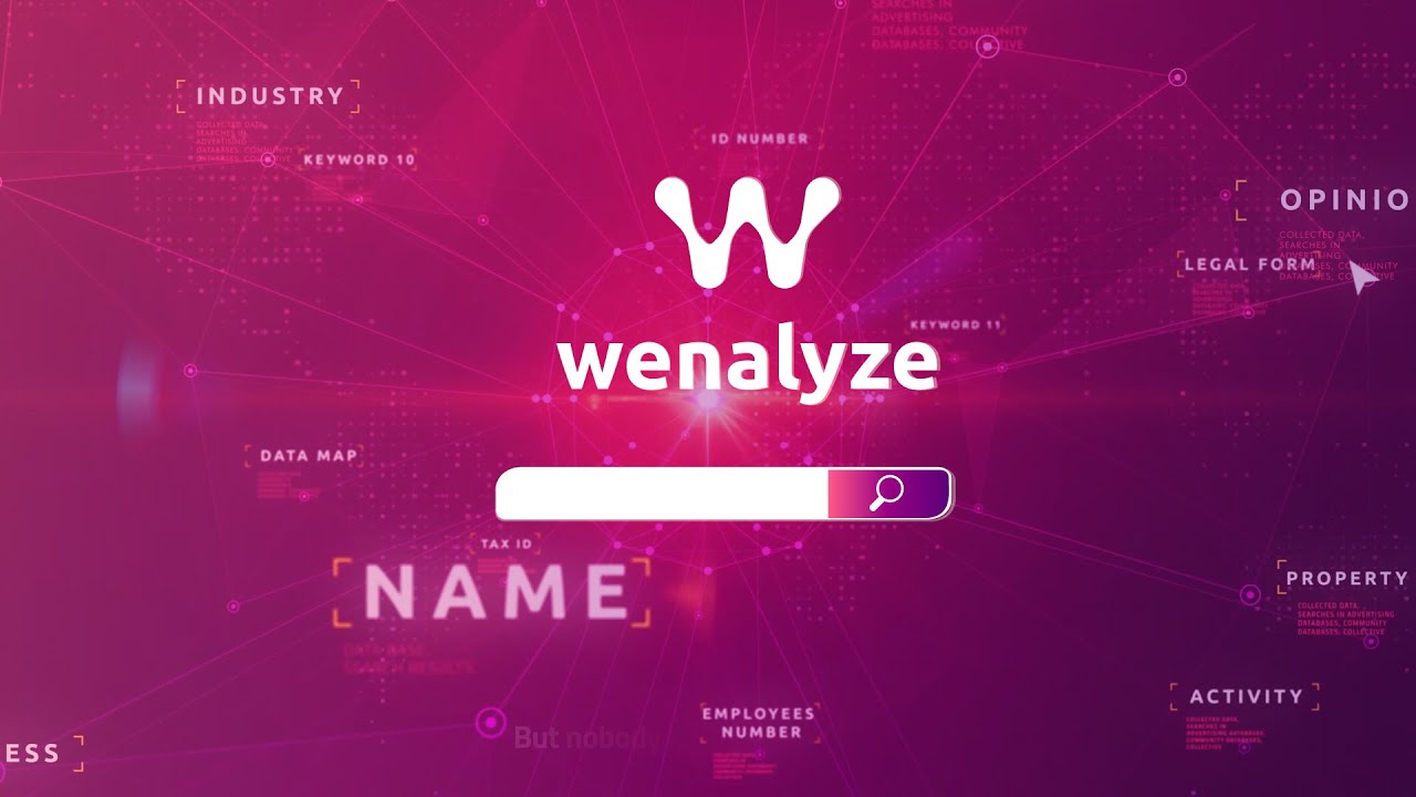 Animated explainer video for Wenalyze fintech big data insurance platform