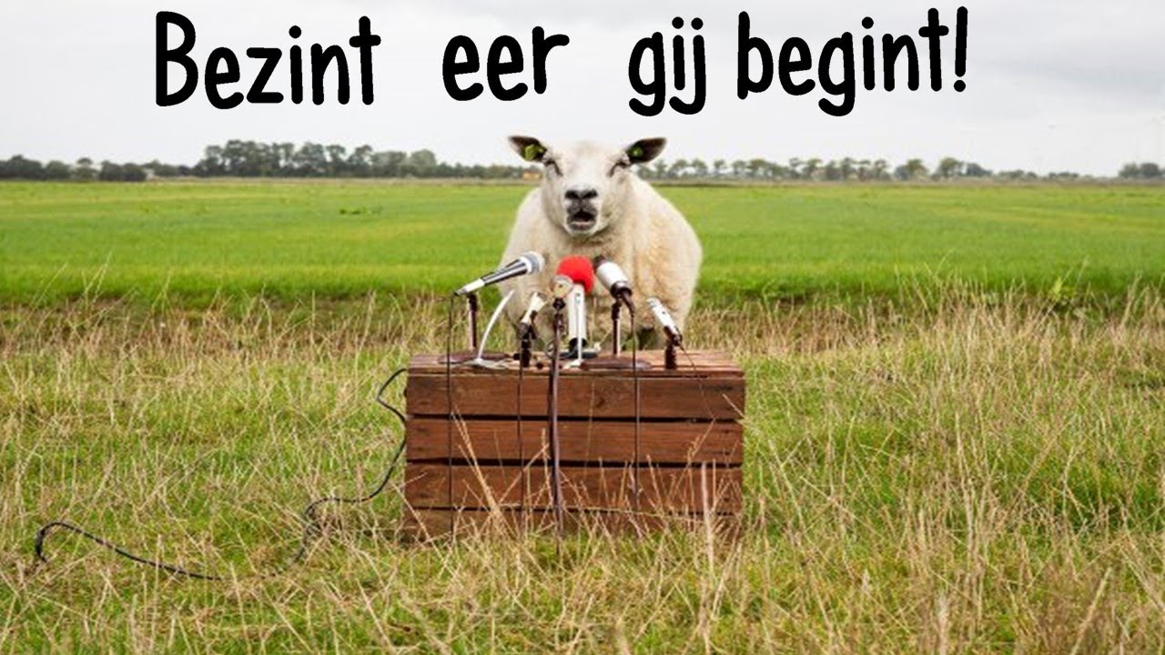 Bezint eer gij begint - YouTube