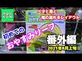 【ベタと苺と滝の流れるレイアウト】♯番外編　ベタのおやすみリーフ紹介と設置!!苺ちゃん使ってくれるかな？【アクアリウム】