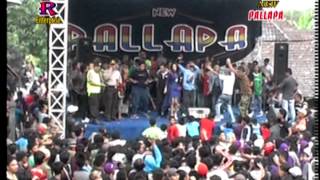 New Pallapa Live In Lamongan Tangan Tangan Hitam Anissa Rahma